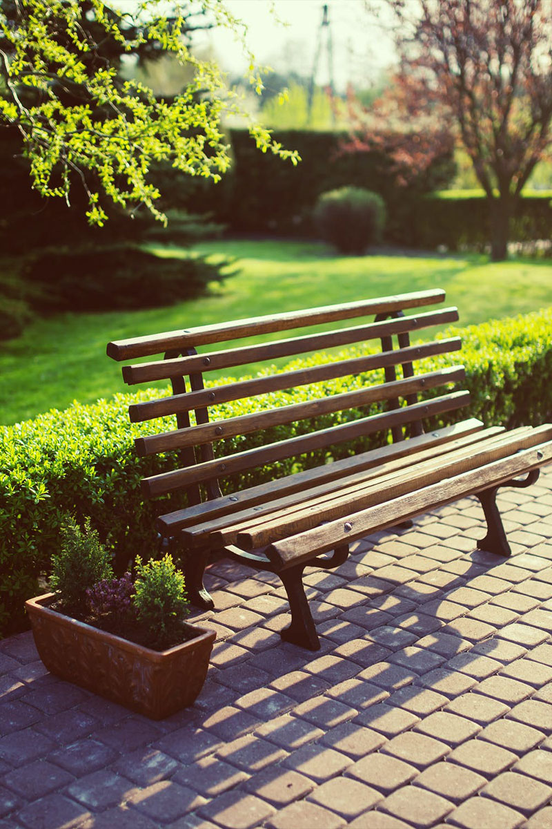 Bench in the Garden