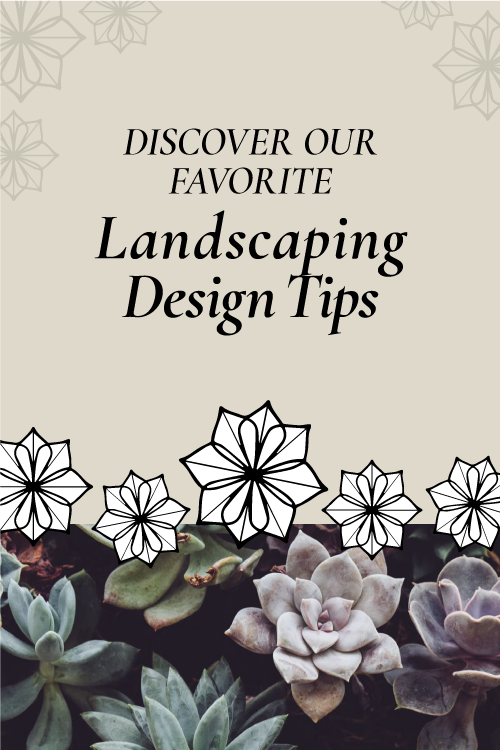 Landscaping Design Tips