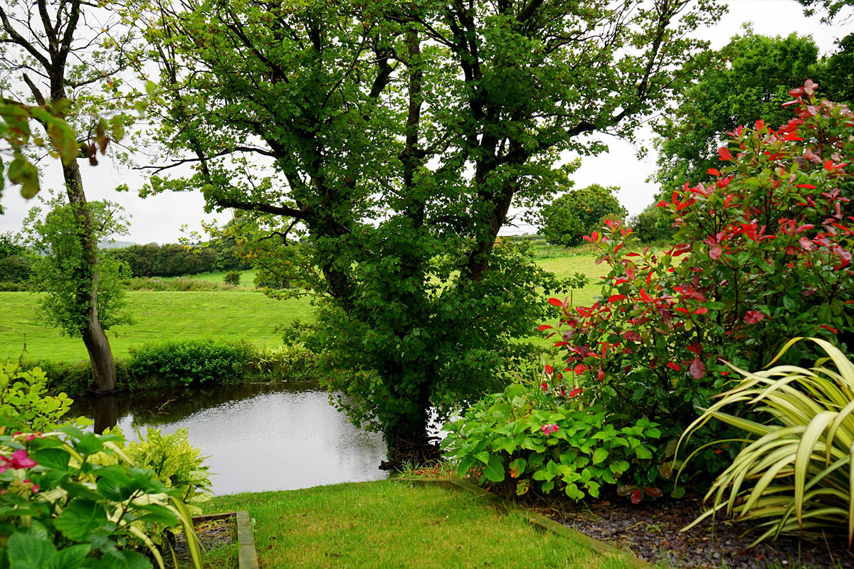 Lush Green Garden Landscape